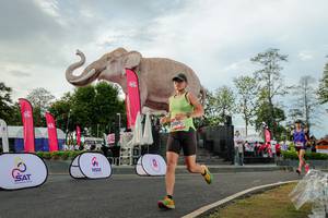 BIB: 
                            <button type="button" onclick="openModal(26528414)" class="btn btn-primary btn-sm float-right btn-popup" data-toggle="modal" data-target=".modal-high-quality">
                        <i class="fas fa-shopping-cart"></i> Add to Cart
                    </button>
                                            <button type="button" onclick="isThisMe(26528414, true)" class="btn btn-success btn-sm float-right btn-popup btn-isme hidden" data-toggle="tooltip" data-placement="bottom" title="นี่คือรูปของคุณใช่ไหม คลิกที่นี่เพื่อเอาเข้าอัลบั้ม">
                        <i class="fas fa-plus"></i> Add to album
                    </button>
                    <button type="button" onclick="isThisMe(26528414, false)" class="btn btn-warning btn-sm float-right btn-popup btn-isnotme hidden">
                        <i class="fas fa-ban"></i> Remove from album
                    </button>